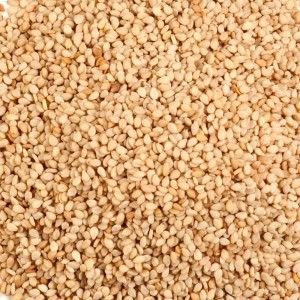 Sesame-Seeds02