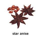 star_anise